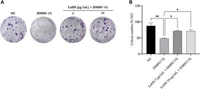 Exploring the neuroprotective activity of a lignanamides-rich extract in human neuroblastoma SH-SY5Y cells under dimethyl sulfoxide-induced stress